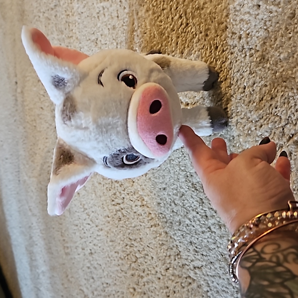 Disney Pua small plush